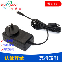 厂家供应澳规SAA认证12v4a电源适配器 48W按摩器电源 脱毛器电源