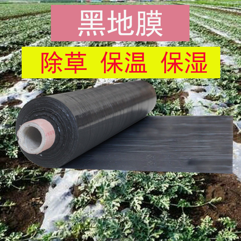 黑地膜农用除草防草膜全黑色银白色保温保湿果树蔬菜种植塑料薄膜