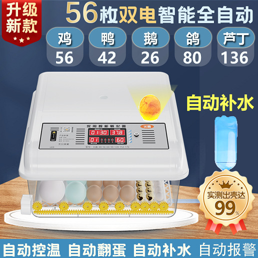 小型家用孵蛋机孵鸡鸭鹅鹌鹑鸽子芦丁鸡儿童全自动孵化器孵蛋器