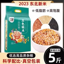 东北五色糙米五谷杂粮饭健身粗粮主食五色米八宝粥新米组合饭包装