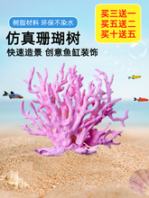 水缸造景摆件海水缸鱼缸珊瑚海底阳台植物缸造景贝壳过滤循环