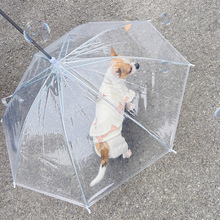 宠物专用狗狗雨伞下雨遛狗神器柯基雨衣狗用雨伞透明泰迪中小型犬