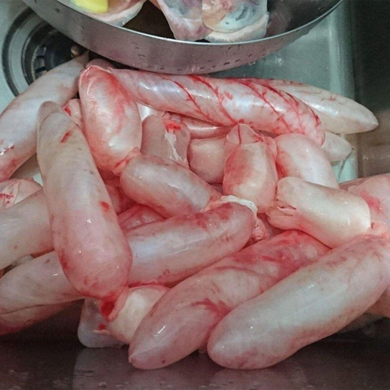 新鲜鱼泡千岛湖胖头鱼鳔鱼泡鱼肚鲜活水产鱼胶千岛湖胖头鱼泡