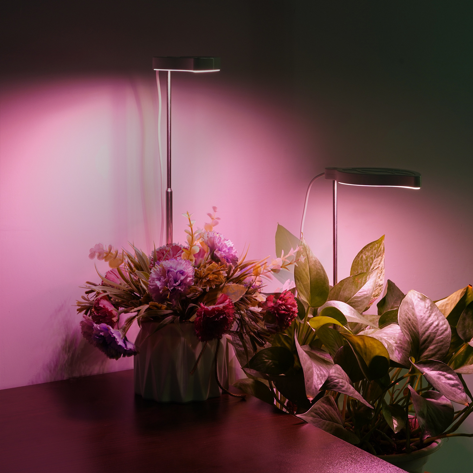 led植物灯 室内盆栽伸缩棒植物补光灯私模叶子款植物生长灯