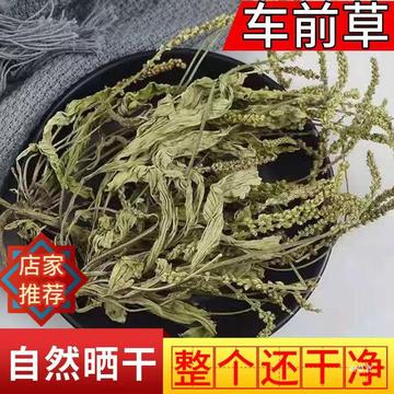 车前草500g新鲜新货干货新鲜车前草茶金钱草真货好货-阿里巴巴