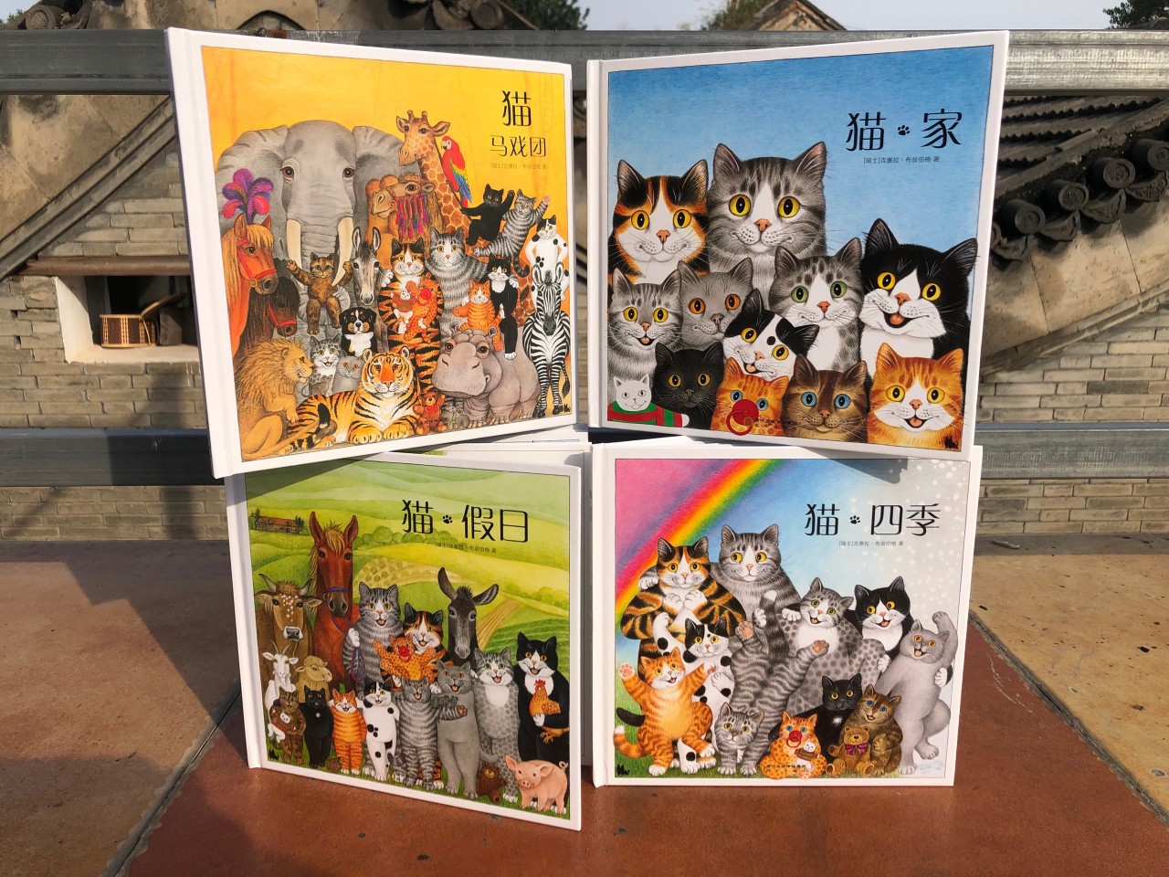 正版精无字书猫精装4册猫家猫·四季猫·马戏团猫·假日童书绘本