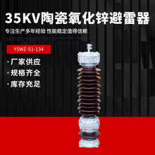 电站型35KV陶瓷氧化锌避雷器Y5WZ-51-134 复合氧化锌避雷器瓷瓶