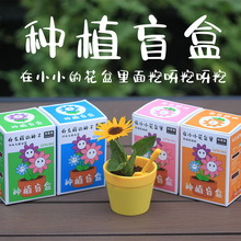 挖呀挖植物盲盒 创意儿童种植盲盒盆栽创意迷你diy桌面绿植可批发