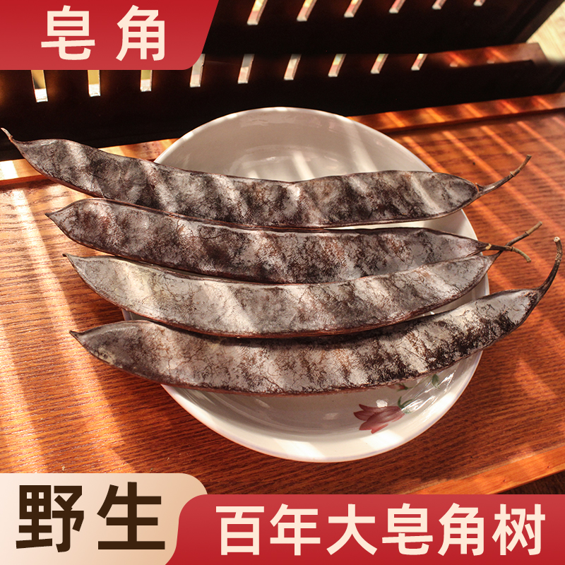 皂角中药材天然野生带籽大皂角皂荚大皂角段侧柏叶皂角何首乌500g