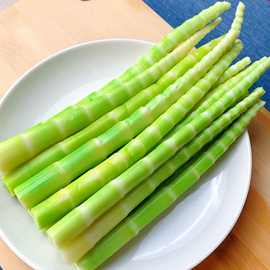 新鲜小竹笋春笋现挖野笋农家野笋子嫩尖带壳水竹笋小山笋5