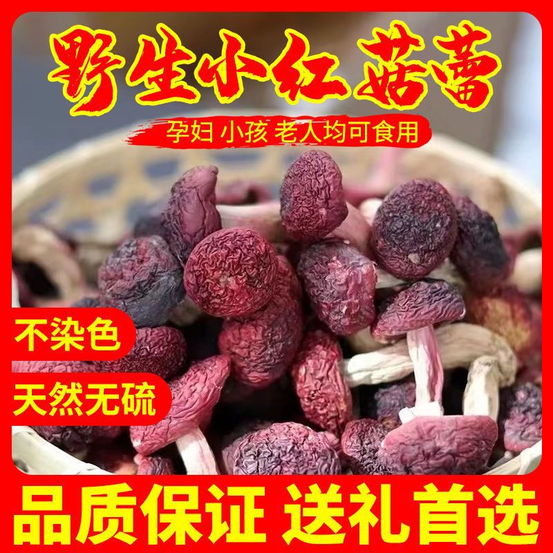 福建三明野生红菇一等品月子红蘑菇正宗红菌批发价特级福建特产