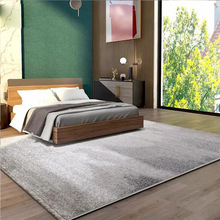 跨境专供复古设计客厅地毯耐脏易打理沙发茶几毯家用满铺防滑地垫