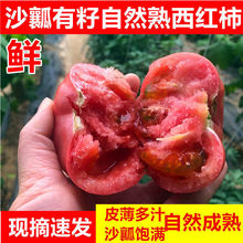 番茄新鲜沙瓤西红柿自然熟孕妇儿童水果洋柿子现摘现发3斤5斤厂家