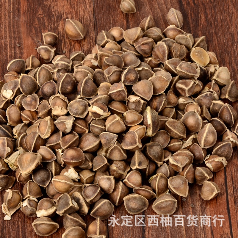 出售林木树种子辣木种子辣木籽印度辣木种籽多季可播树种籽