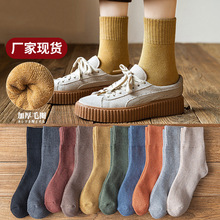 女士纯色毛圈袜加绒加厚中筒袜秋冬保暖袜韩版日系学生袜一件代发