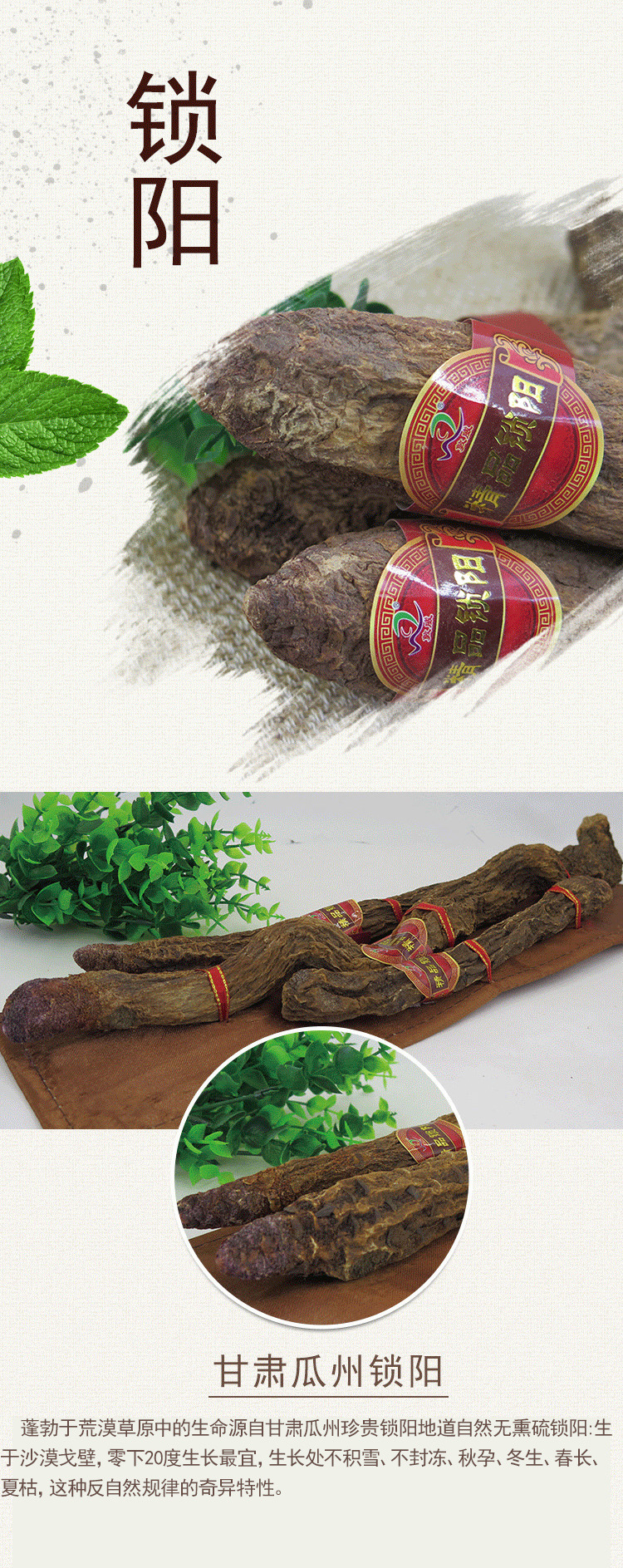 敦威锁阳肉苁蓉礼盒套装1000g泡酒料男性传统滋补品药食西北特产