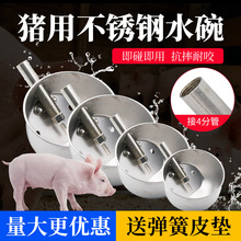 猪水碗304不锈钢加厚仔猪自动饮水器全自动猪水料槽猪饮水器设备
