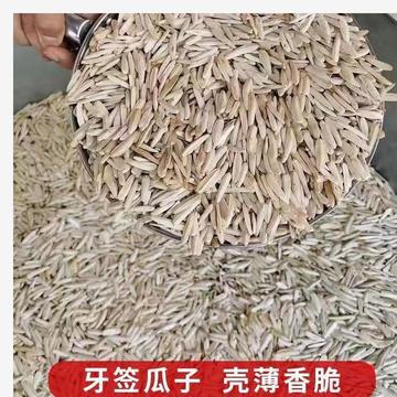 2023新货马牙瓜子新疆长粒葵花籽原味炒熟大颗粒牙签瓜子现炒