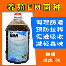 EM菌种原种水产养殖发酵浓缩乳酸菌液厂家直销芽孢杆菌原种种植用