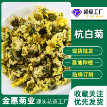 散装桐乡杭白菊茶叶新货 杭州菊花茶 朵花源头产地现货散装批发