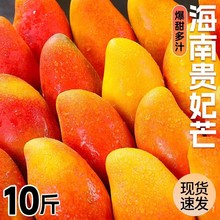 海南贵妃芒10斤芒果新鲜当季热带水果现摘辣椒甜心芒一件代发包邮