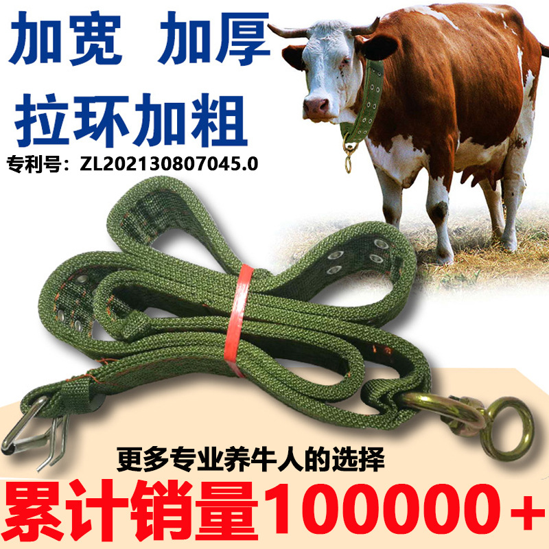 牛绳子畜牧尼龙编织大号牛皮带用具捆绑固定养殖设备栓牛拉牛用品