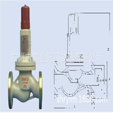 AHN42F-P18平行式安全回流阀永一罗浮万能立特保一宇明海一方众