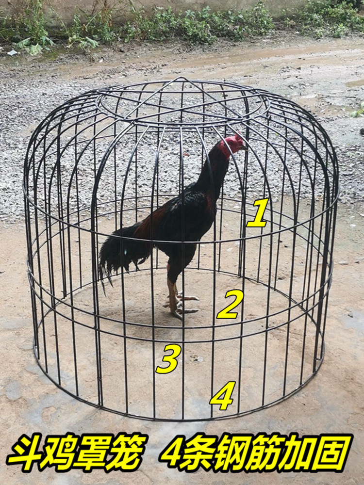 斗鸡罩笼斗鸡方笼子跑笼斗鸡训练笼鸡笼狗笼火鸡笼鹅笼折叠组装