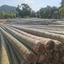 安吉优惠大毛竹厂家 楠竹海里紫菜养殖 竹跳板竹架板 装修用竹子