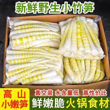 四川高山野生脆嫩竹笋新鲜小笋尖袋装新鲜笋火锅串串食材整箱批发