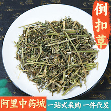 【精选货】倒扣草中药材 新鲜倒扣草野生倒扣草土牛七倒钩草牛膝