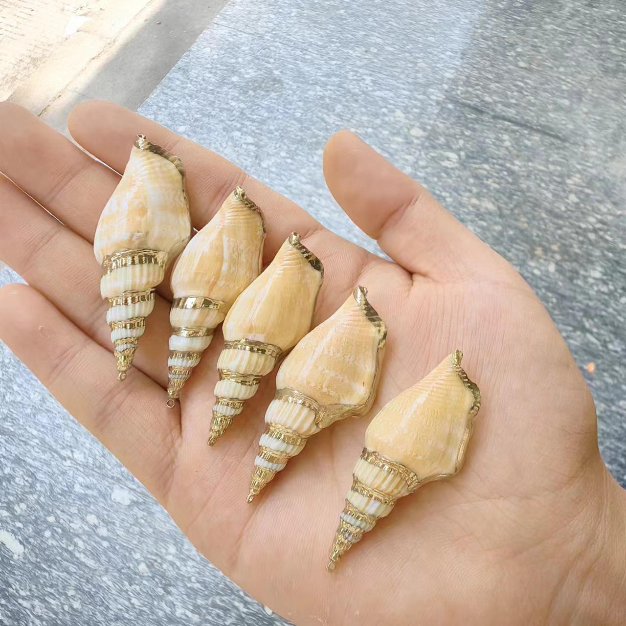 圣诞节装饰海螺贝壳吊坠天然小海螺挂件金边贝壳项链耳环配饰