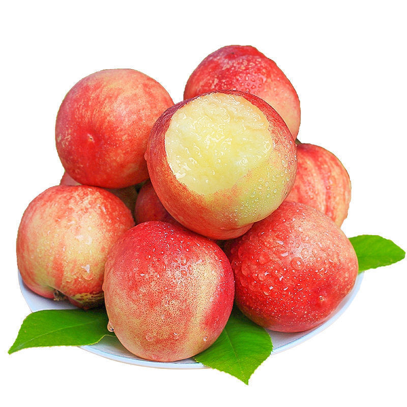 智利进口油桃子新鲜脆甜脆桃冬桃驳李非水蜜桃水果批发2/4斤