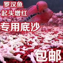 Volcanic stone coral bone volcanic rock luohan fish special