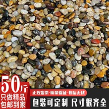 棙T50斤鹅卵石庭院铺路铺地园艺五彩石头雨花石原石天然大小鹅软