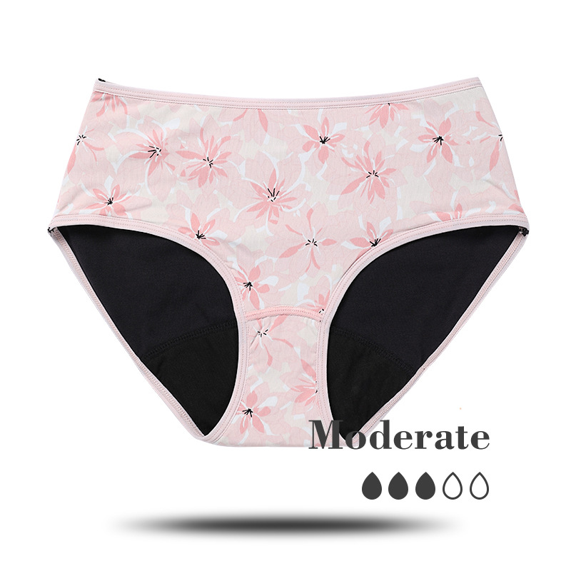 Foreign Trade Popular Style Menstrual Panties Women's Printed Menstrual Period Leak-Proof Low Waist Sanitary Napkin-Free Pants Aunt Underwear Women's Large Size