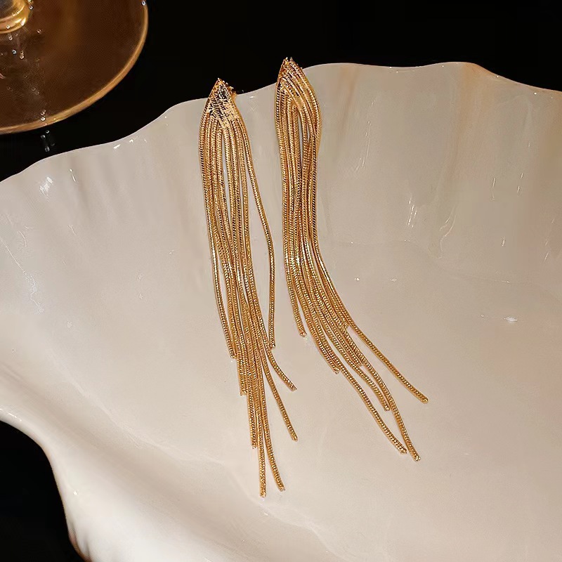 Long Fringe Earrings Earrings for Women 2024 New Elegant High Sense Super Fairy Tassel Earrings Online Influencer Earrings