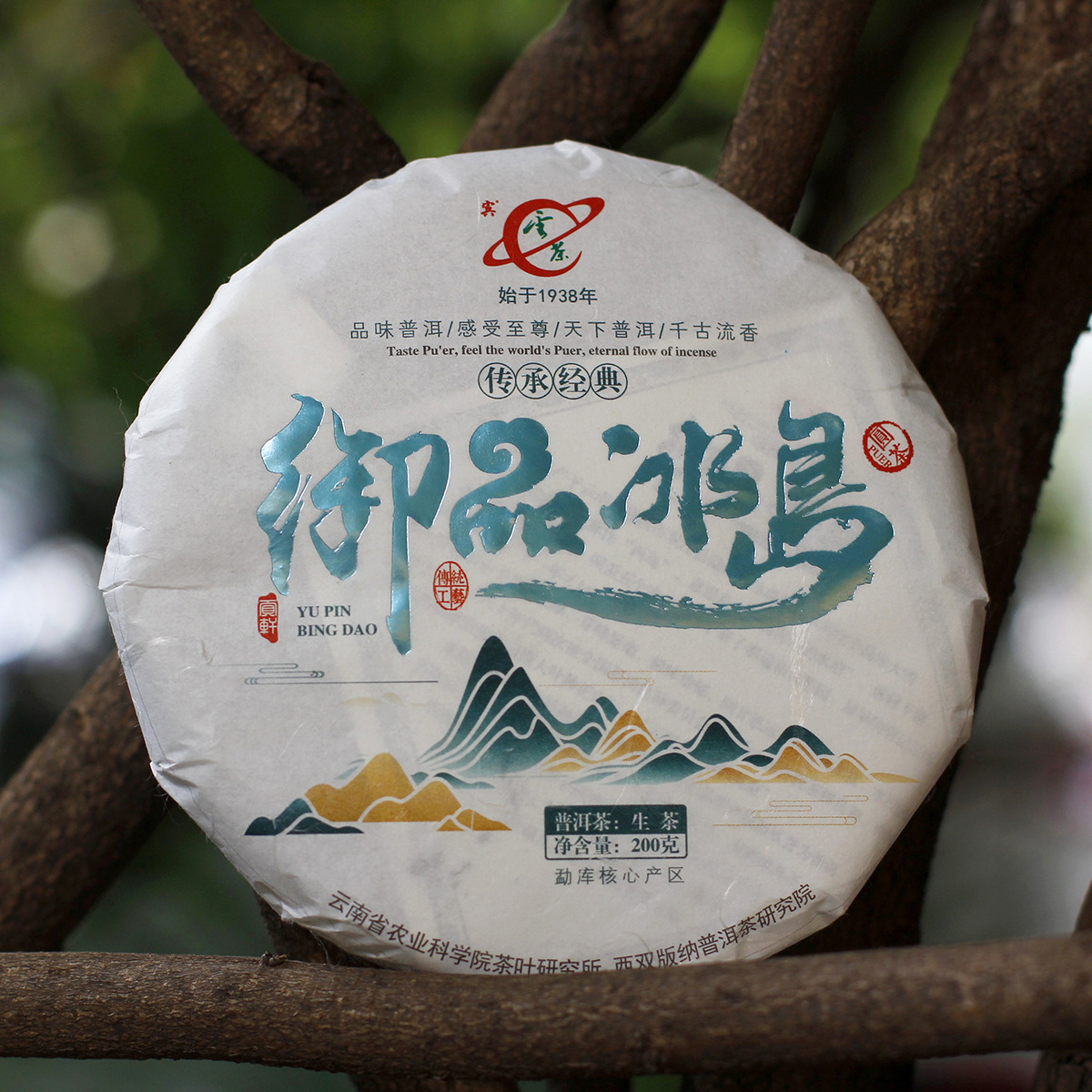 厂家直销 云南普洱茶 云茶2021 御品冰岛 大树春茶200g 一件代发