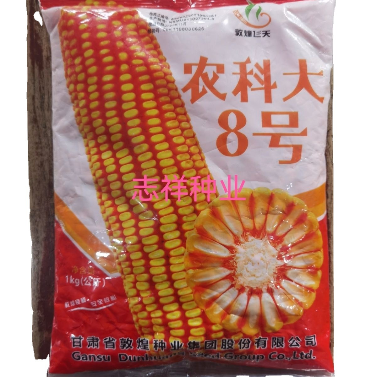 玉米种子518