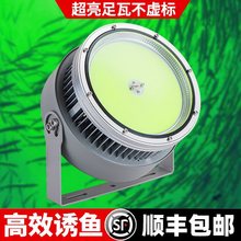 led户外防水集鱼灯船用筏钓海钓鱿鱼灯青光灯诱鱼夜钓灯220V