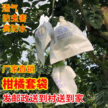 柑橘水果套袋 茂谷柑红美人脐橙水果套袋果袋橙子橘子防虫水果袋