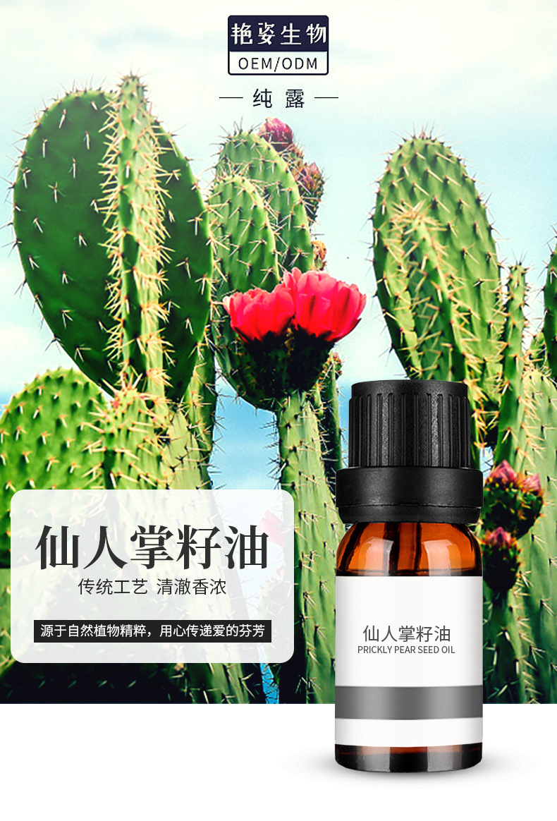 仙人掌籽油 种子油眼部面部精华眼纹基底精油美容院基础油1kg厂家