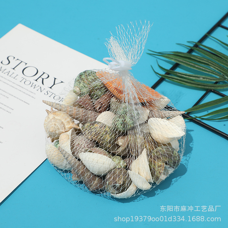 天然贝壳海螺 手工diy饰品配件打孔装饰海鲜用壳-阿里巴巴