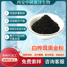 白桦茸黑金精粉98%50目多规格 桦褐孔菌桦树茸黑金粉水溶工厂现货