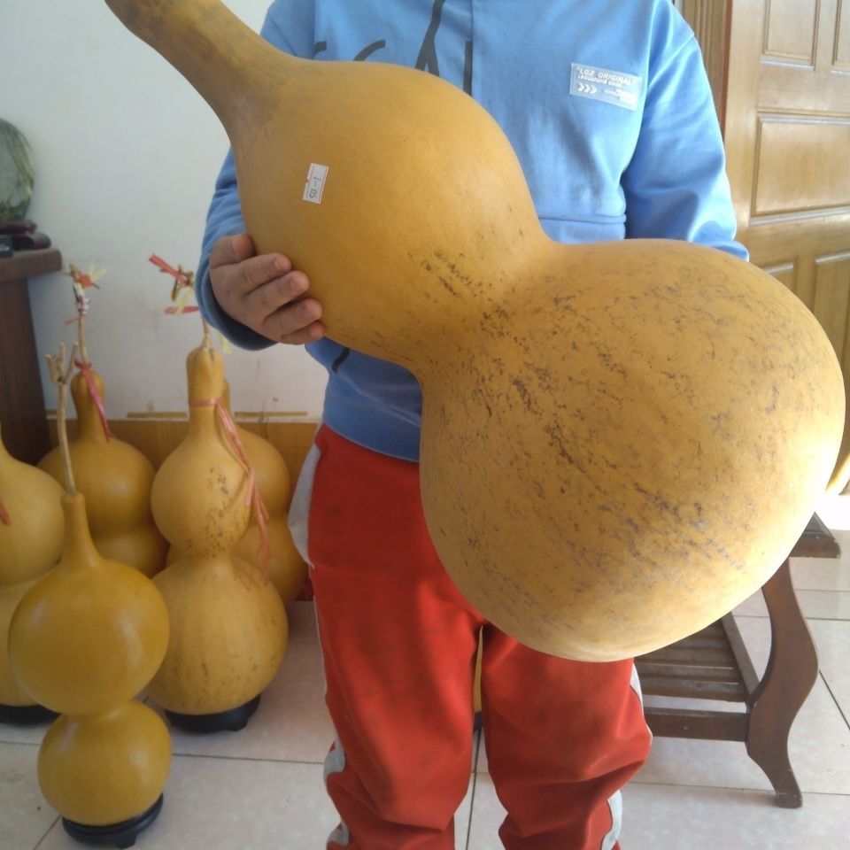 葫芦大葫芦福禄摆件15至80厘米花皮葫芦大亚腰八宝莲花头粗葫芦