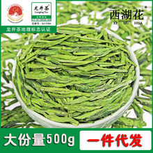 西湖花龙井茶叶2023新茶绿版明前浓香型豆香绿茶袋装散茶500g批发