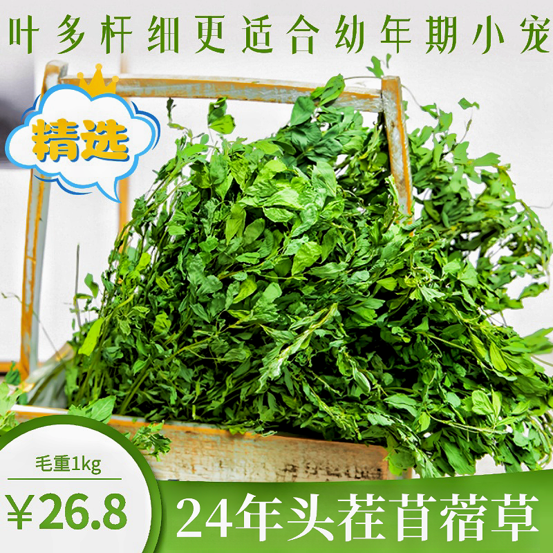 24年新烘干紫花苜蓿草干草幼兔草兔子草龙猫荷兰猪豚鼠宿苜草饲料