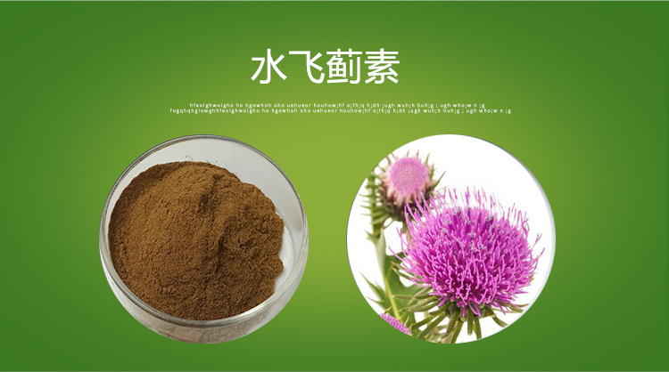 水飞蓟素40% 兽用饲料 原料 水飞蓟提取物 水溶性 厂家 现货 包邮