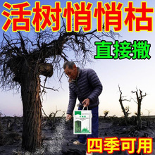 环嗪哃树枯死药杂树杂竹子一扫光灌木杂灌除草烂根剂正品环嗪酮