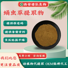 支持检测蛹虫草提取物10:1比例虫草素粉虫草菌丝体水溶性蛹虫草粉